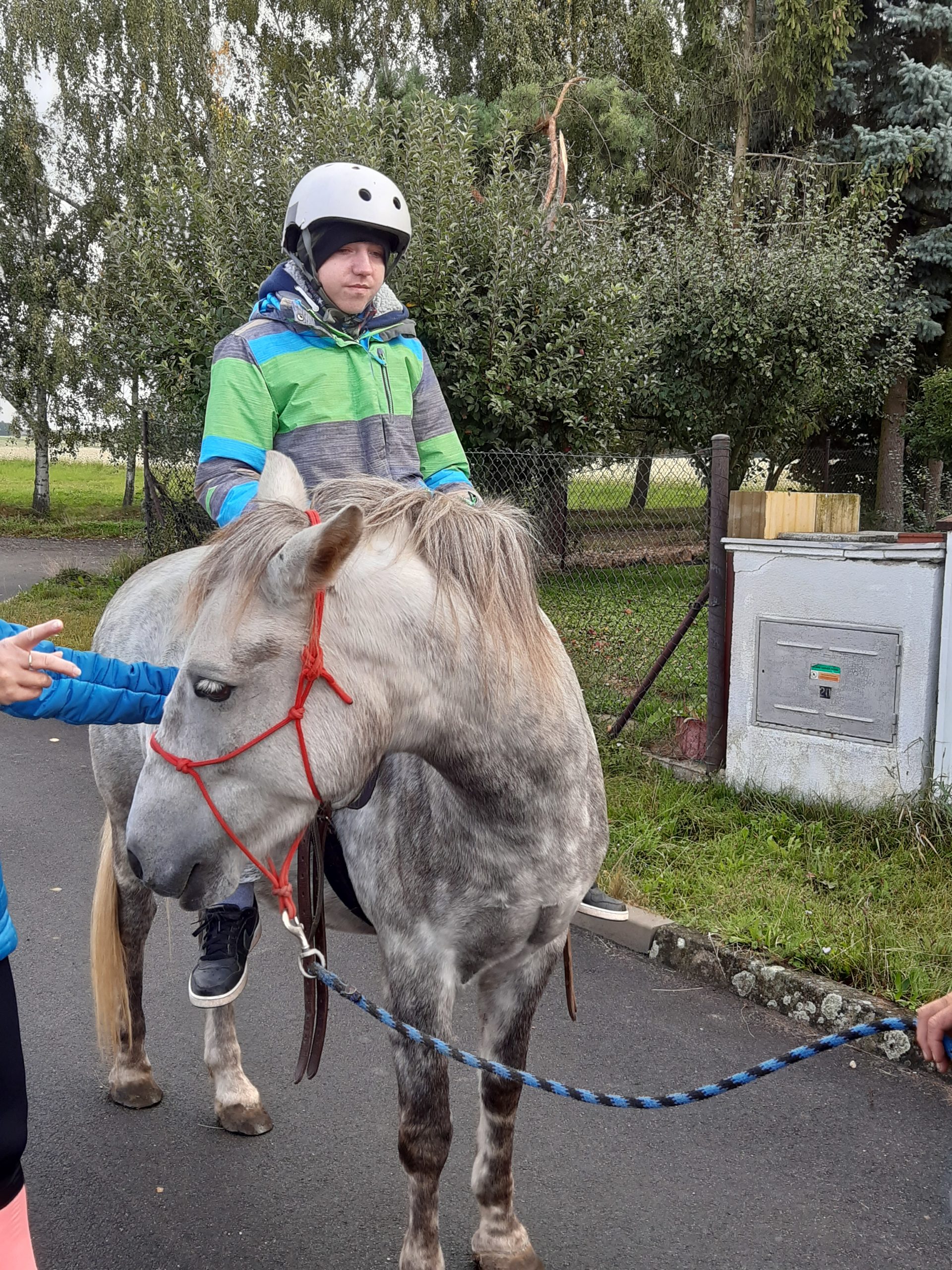 Zooterapie speciální třída